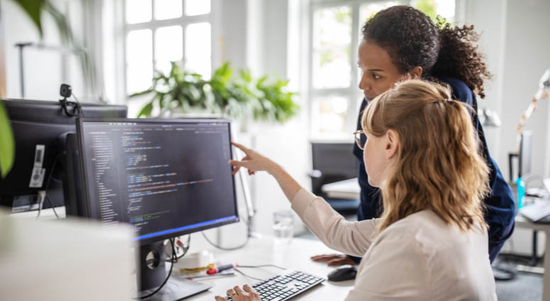 Businesswoman discussing computer program with female colleague at desk in office.